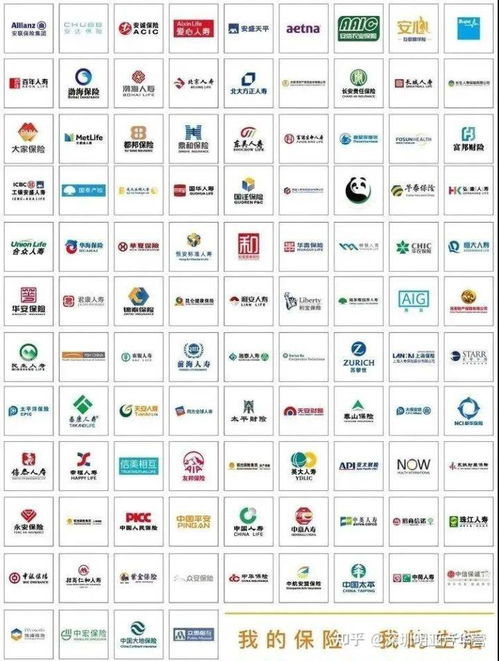 明亚保险经纪鼎新团队如何系统学习保险产品