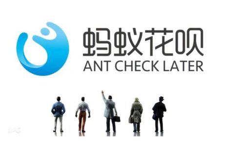 字节跳动“放心花”能否撼动“花呗”江湖？保险经纪服务或是关键变量